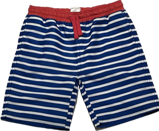 Losan blue striped swim shorts for boys with elastic waistband and quick-dry fabric