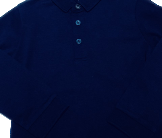 Emporio Armani Long Sleeve Polo Shirt in Navy