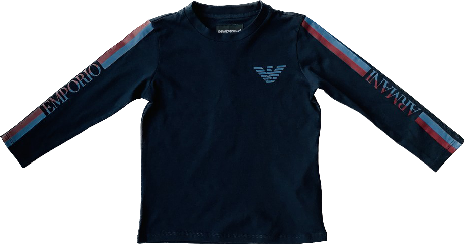 Emporio Armani Eagle Logo Cotton Jersey T-Shirt
